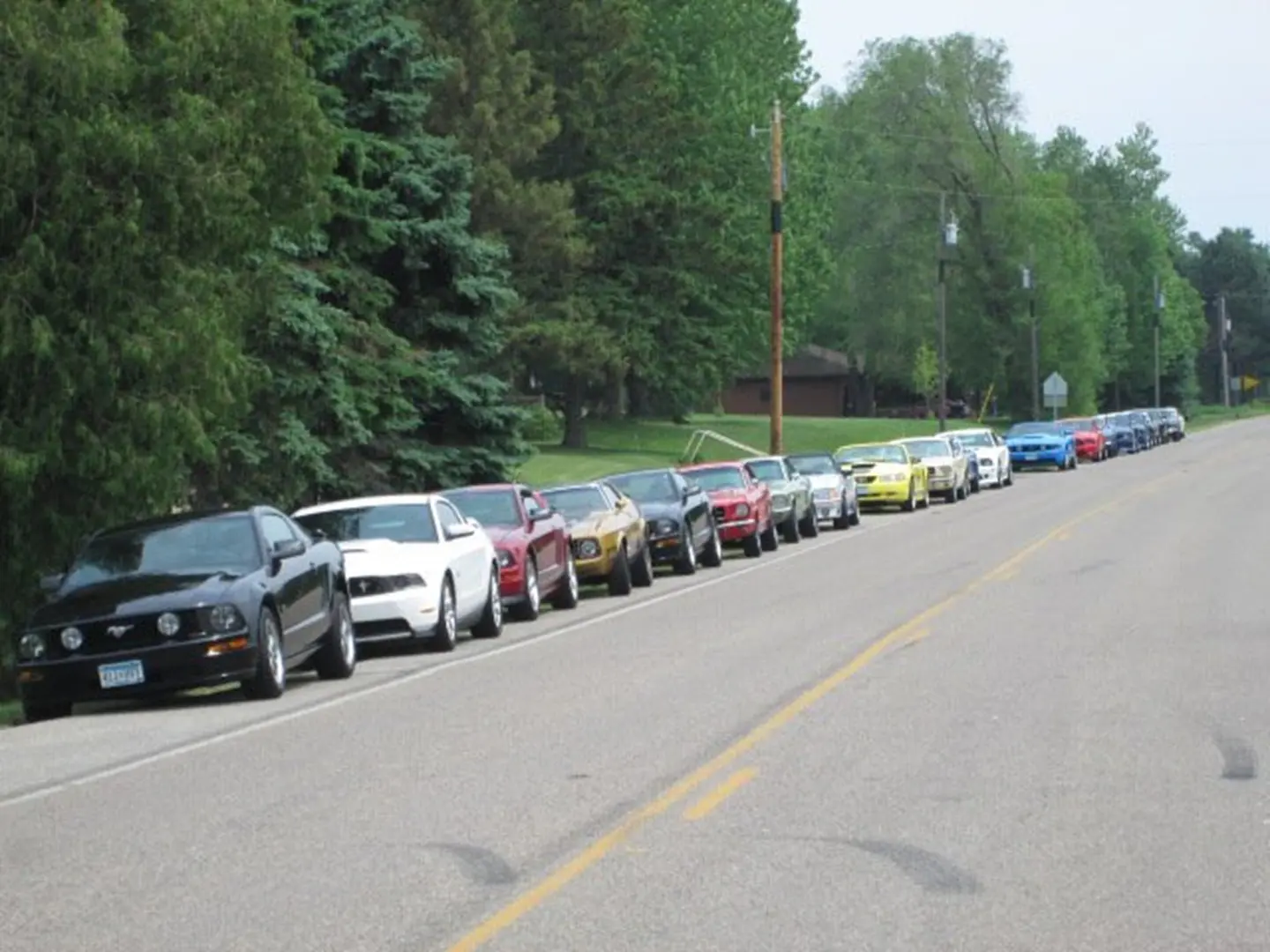 Cars parked along a tree-lined street
