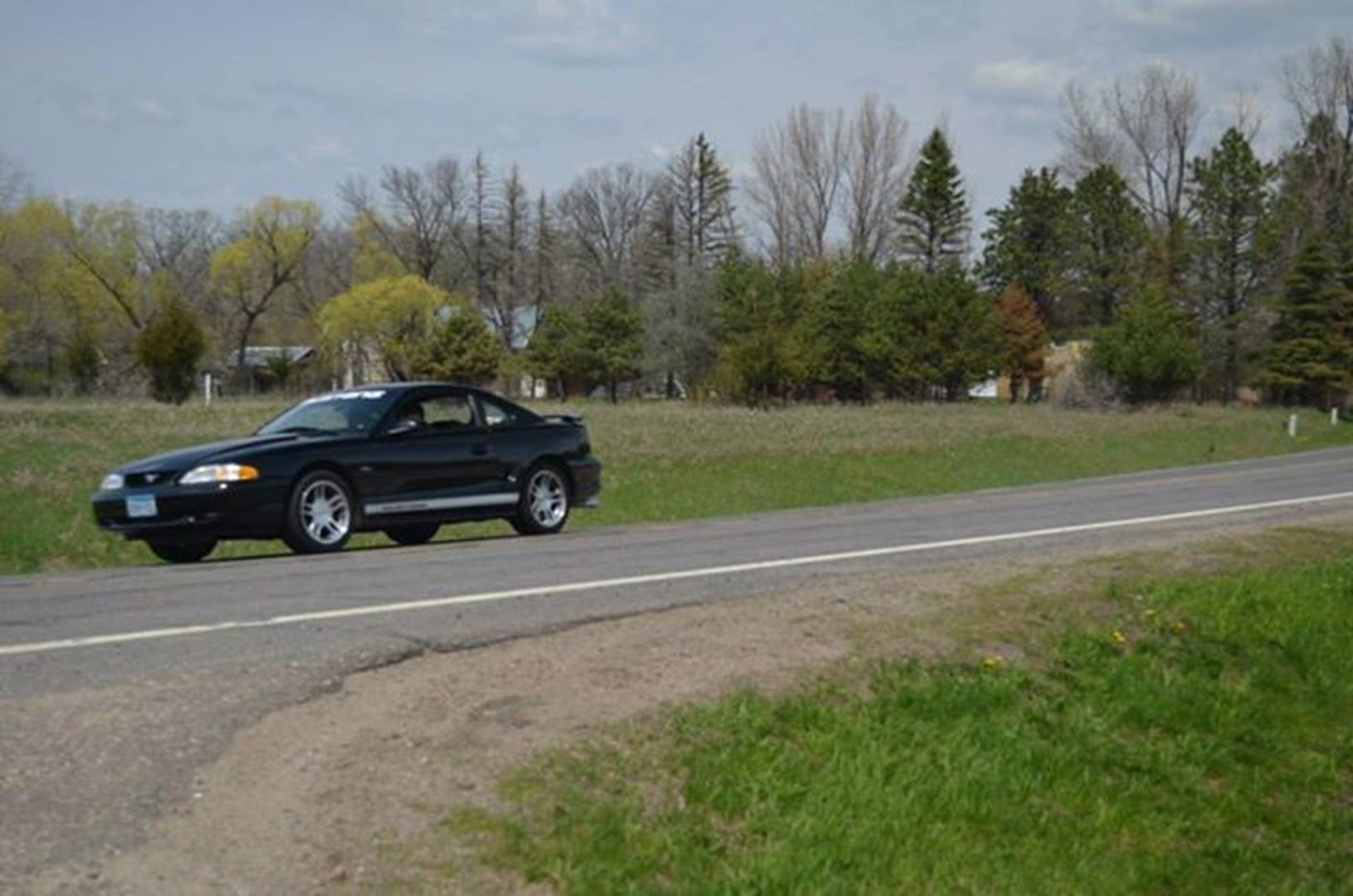 Car driving past trees