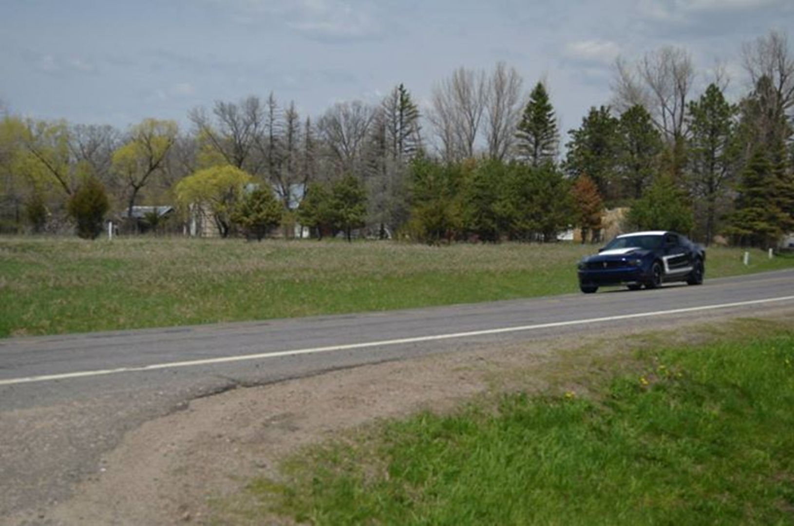 Black car near trees