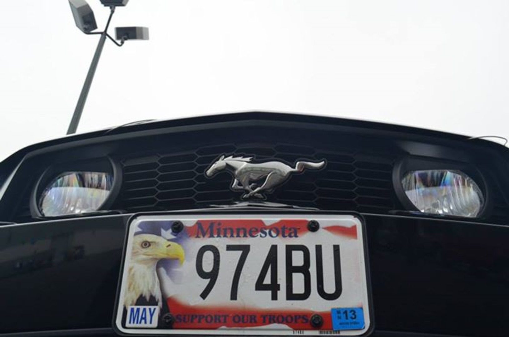 License plate on black Mustang front grille